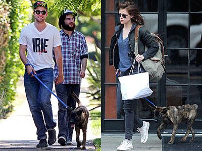 Robert Pattinson dan Kristen Stewart Ngobrol dengan Anjing Mereka Via Skype